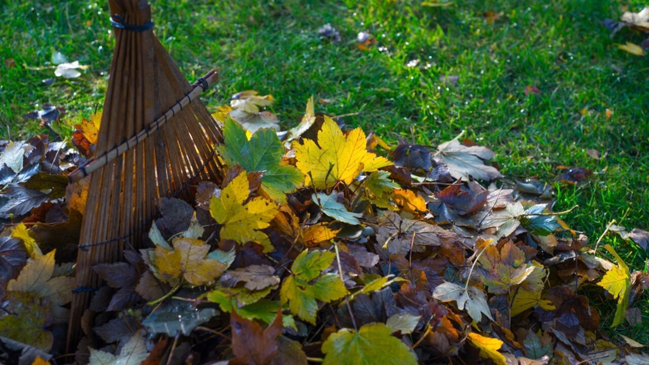 Cleanup & Removal